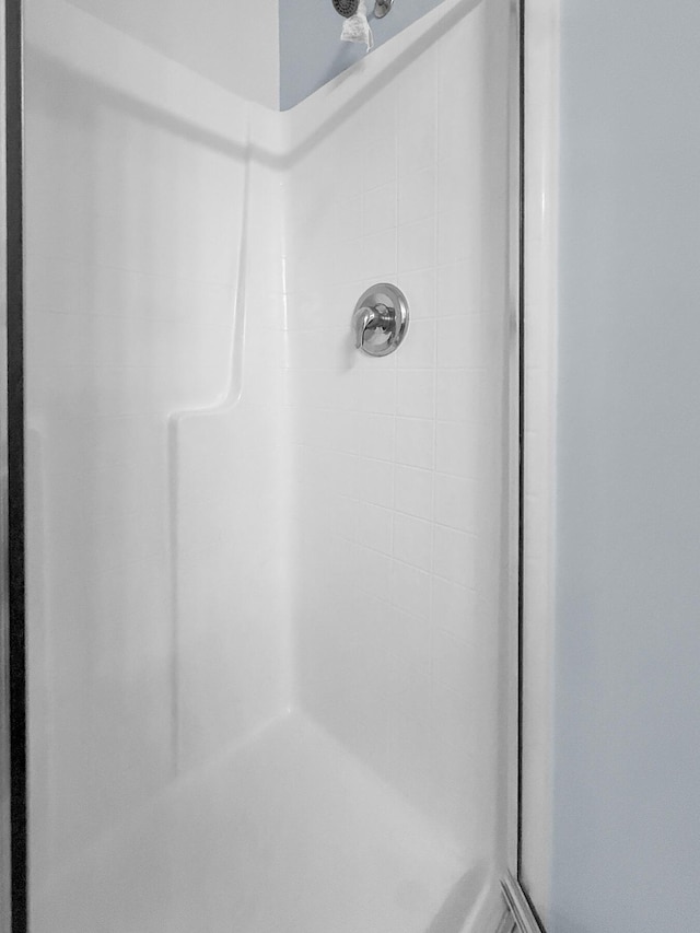 bathroom view of a shower stall
