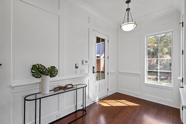 doorway with dark wood-style floors, plenty of natural light, ornamental molding, and a decorative wall