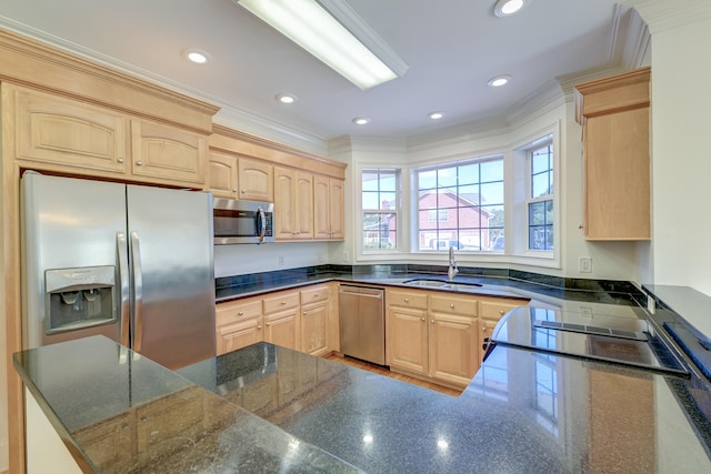 kitchen with ornamental molding, light brown cabinetry, sink, and appliances with stainless steel finishes