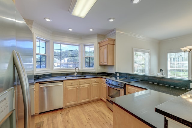 kitchen with ornamental molding, sink, appliances with stainless steel finishes, light brown cabinets, and light hardwood / wood-style floors