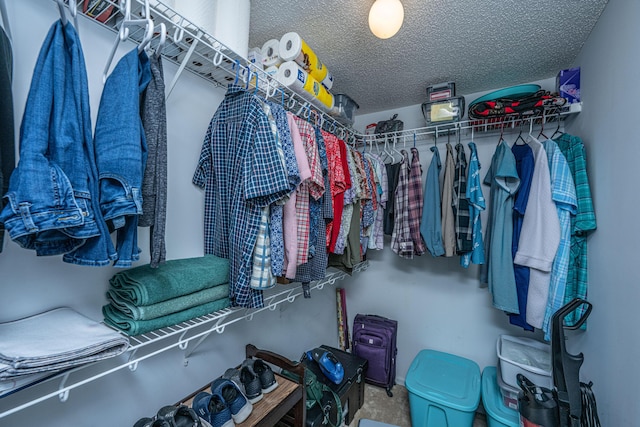 2601 Riverridge Ct Unit A, Moncks Corner, SC 29461 - spacious closet with carpet