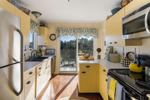 kitchen with dark hardwood / wood-style floors, sink, and stainless steel appliances