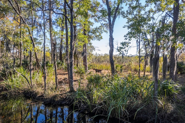 view of nature