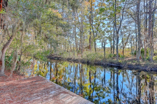 view of water feature