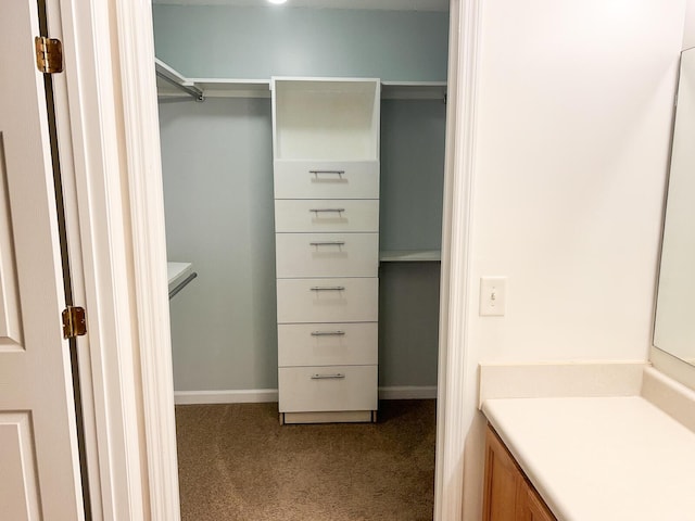 spacious closet with carpet