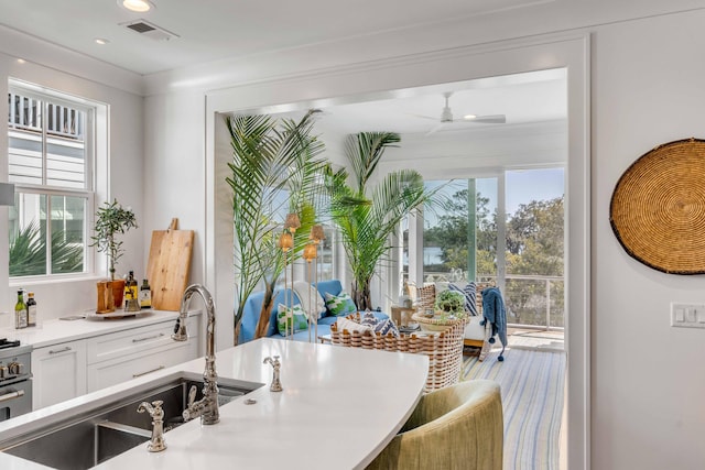 interior space featuring white cabinets, ceiling fan, a healthy amount of sunlight, and sink