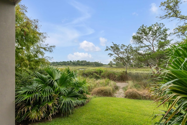 view of yard with a rural view