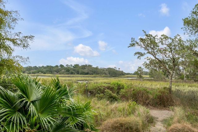 view of landscape with a rural view