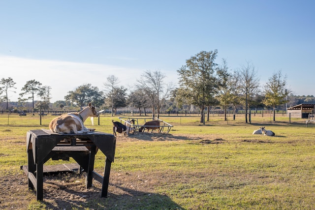 view of property's community with a rural view and a lawn