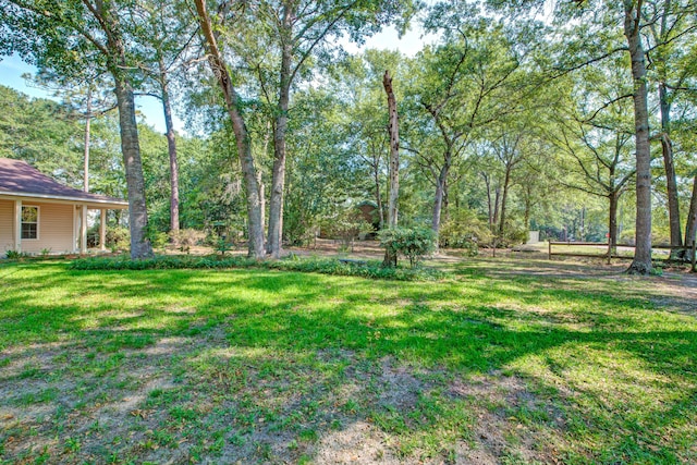 441 Compton Dr, Moncks Corner, SC 29461 - view of green lawn