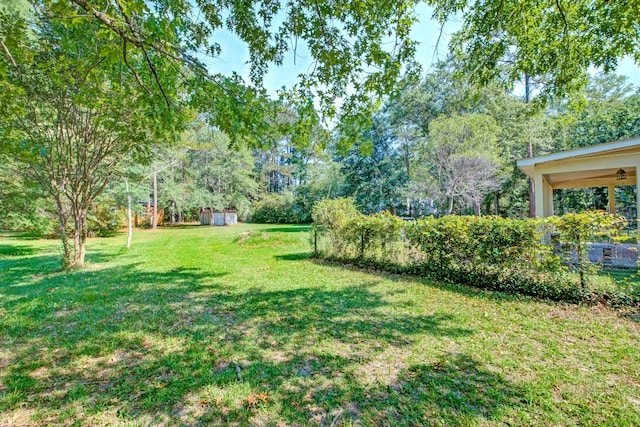 441 Compton Dr, Moncks Corner, SC 29461 - view of green lawn