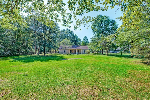 441 Compton Dr, Moncks Corner, SC 29461 - view of green lawn