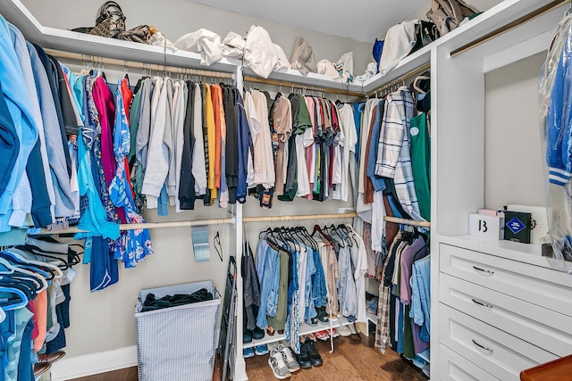 219 Daybreak Blvd, Summerville, SC 29486 - spacious closet featuring wood finished floors