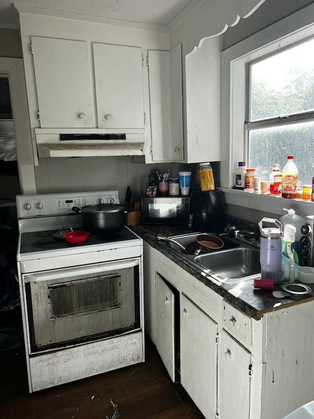 kitchen with electric range, a sink, under cabinet range hood, white cabinetry, and dark countertops