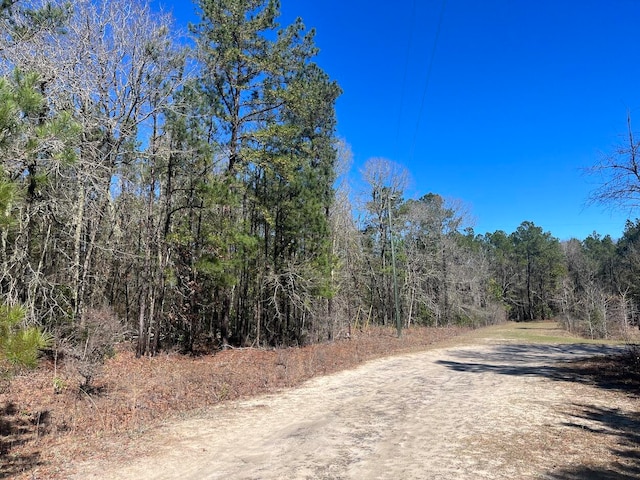 01 China Ct, Walterboro SC, 29488 land for sale