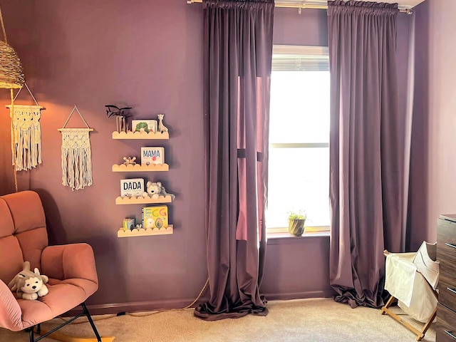 323 Bear Paw Ln, Summerville, SC 29486 - sitting room with carpet and plenty of natural light