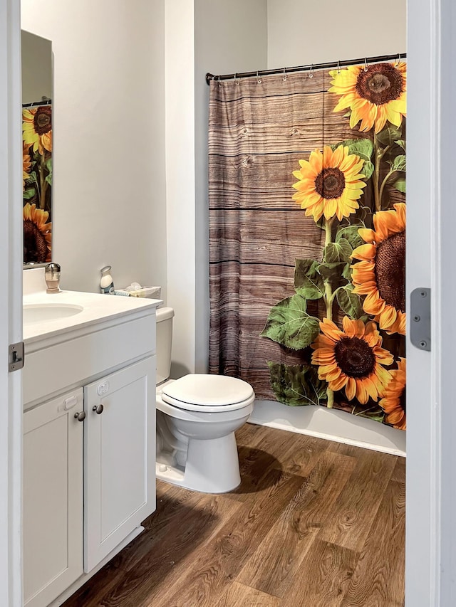 323 Bear Paw Ln, Summerville, SC 29486 - full bath featuring wood finished floors, toilet, vanity, and a shower with shower curtain