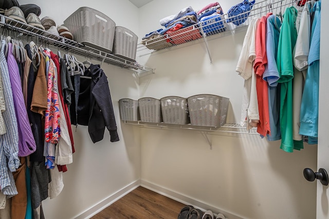 walk in closet with hardwood / wood-style flooring