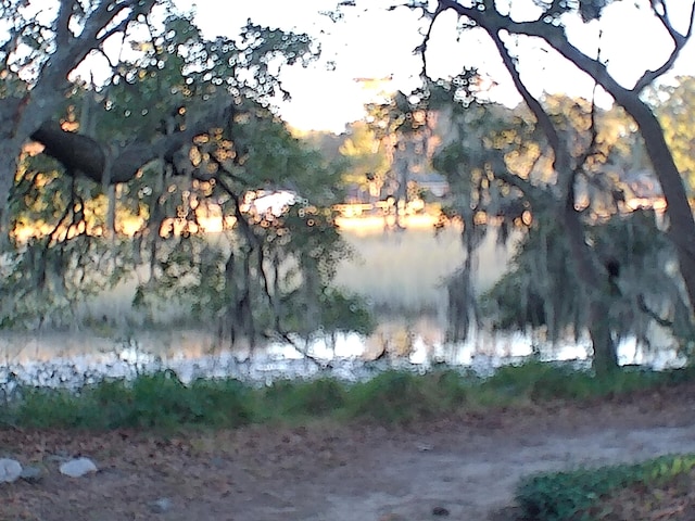 view of water feature