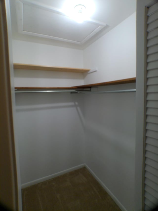 walk in closet featuring dark colored carpet