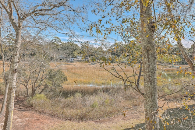 view of landscape featuring a water view