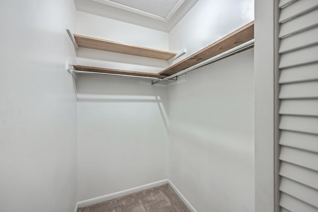 walk in closet featuring carpet