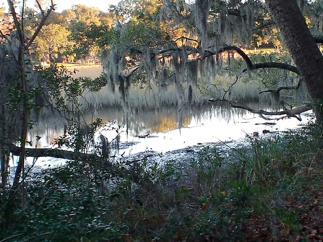 view of water feature