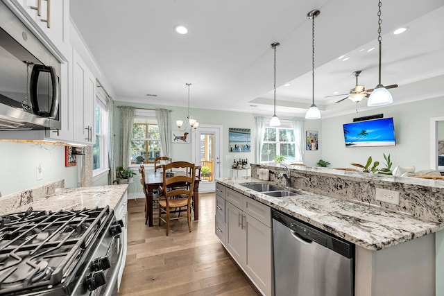 kitchen featuring a healthy amount of sunlight, sink, stainless steel appliances, and light hardwood / wood-style flooring