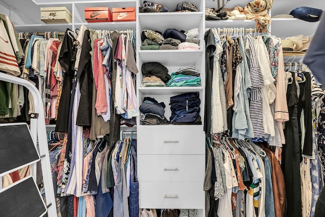 view of spacious closet