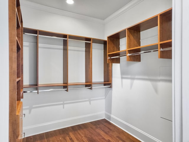 spacious closet featuring dark hardwood / wood-style floors