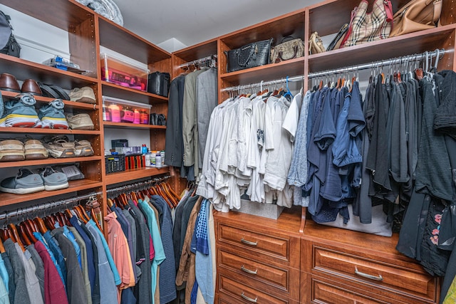 125 Pier View St Unit 408, Charleston, SC 29492 - view of spacious closet
