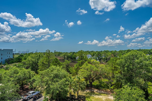 125 Pier View St Unit 408, Charleston, SC 29492 - view of local wilderness