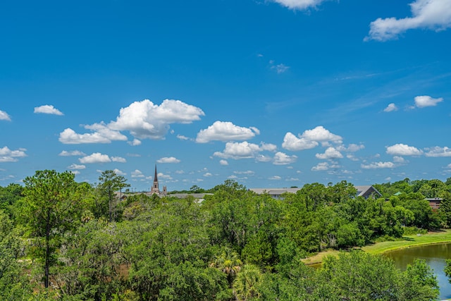 125 Pier View St Unit 408, Charleston, SC 29492 - view of undeveloped land featuring a large body of water
