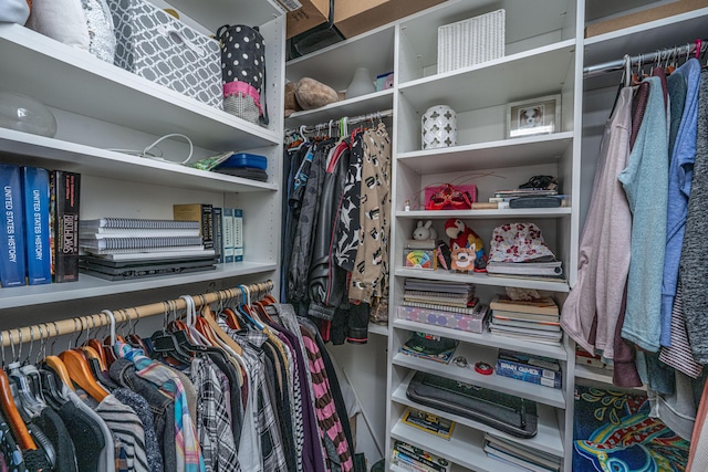 125 Pier View St Unit 408, Charleston, SC 29492 - view of spacious closet