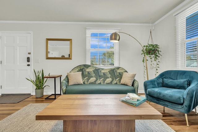 living area featuring ornamental molding, baseboards, and wood finished floors