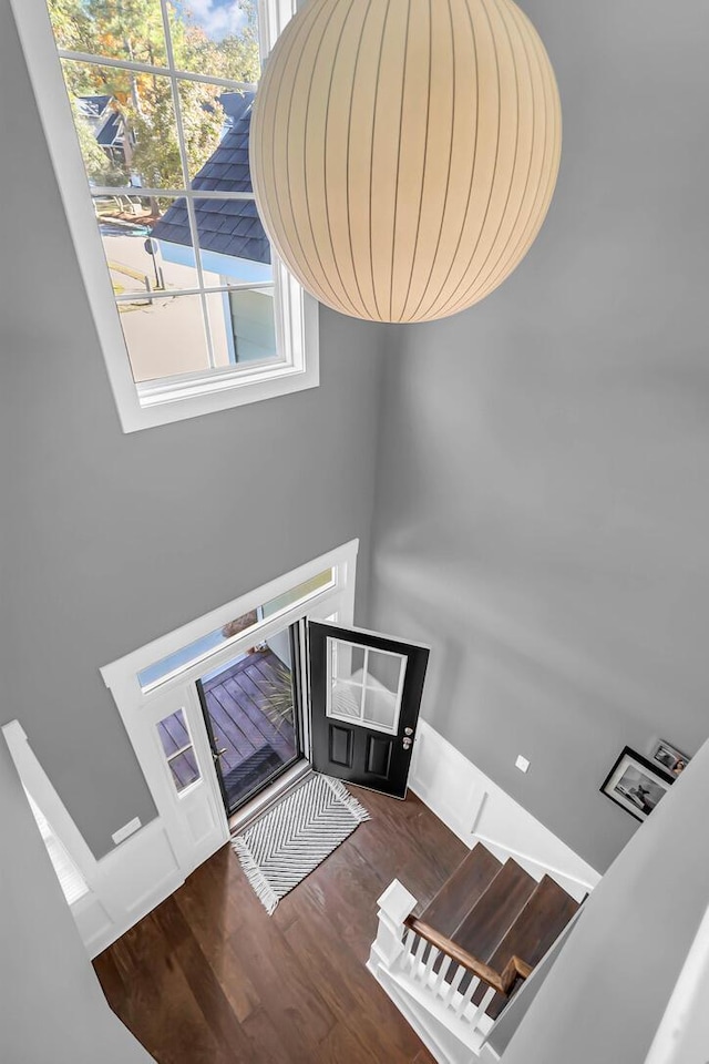 entrance foyer with dark hardwood / wood-style floors