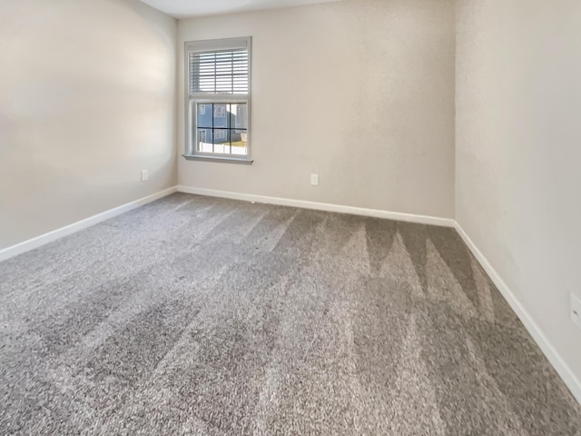 spare room with carpet floors