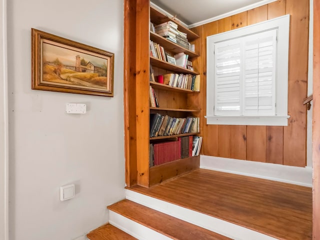 interior space with wooden walls