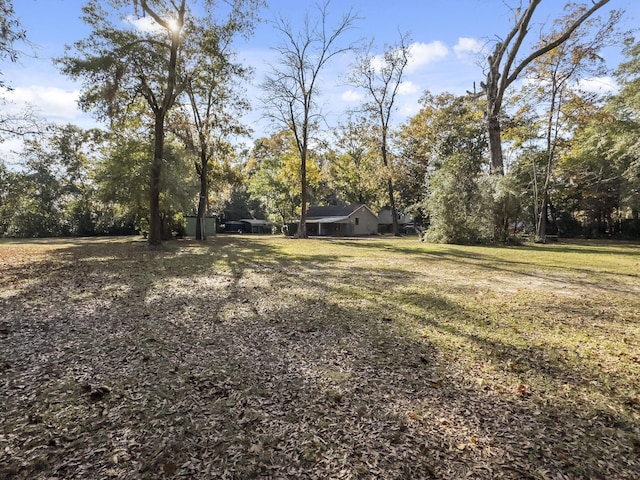 1104 2nd Ave, Kingstree, SC 29556 - view of grassy yard