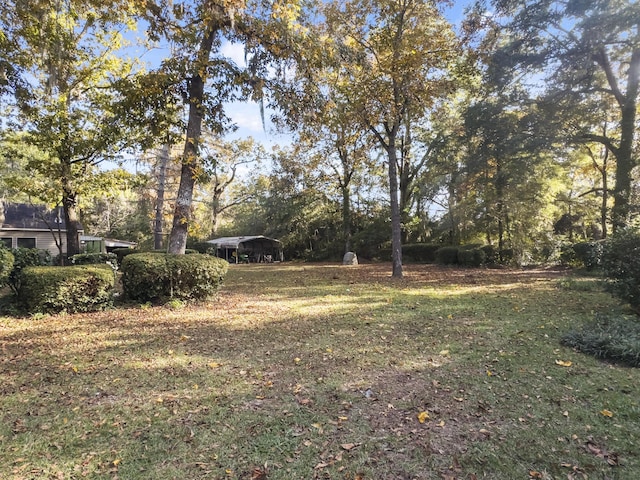 1104 2nd Ave, Kingstree, SC 29556 - view of green lawn featuring a carport