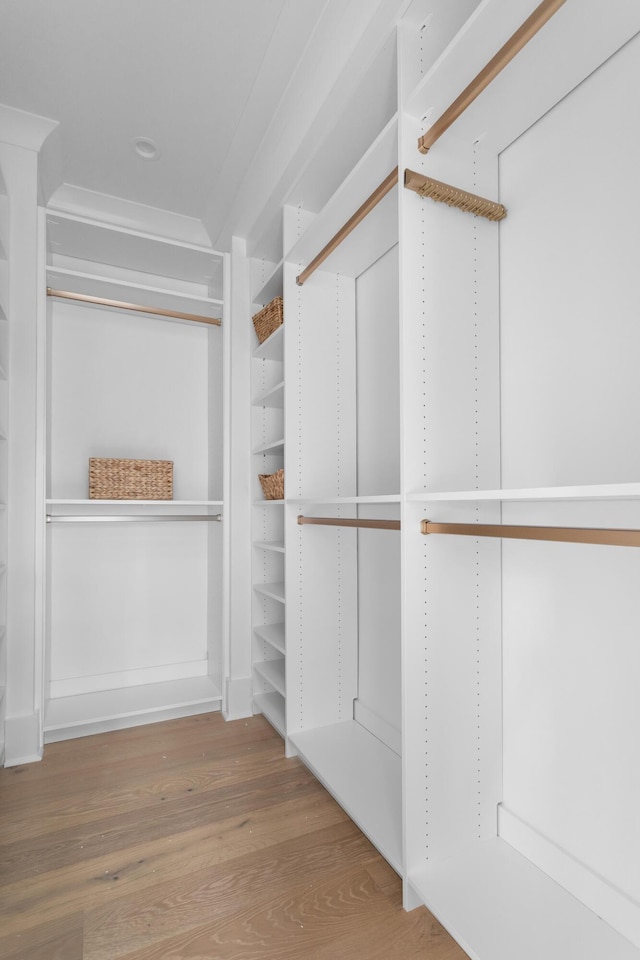 spacious closet with wood-type flooring