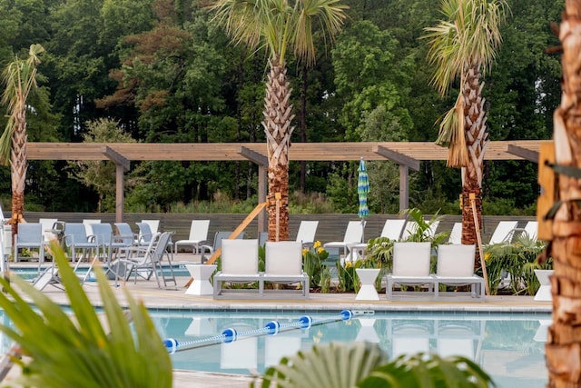 pool featuring a patio area and a pergola