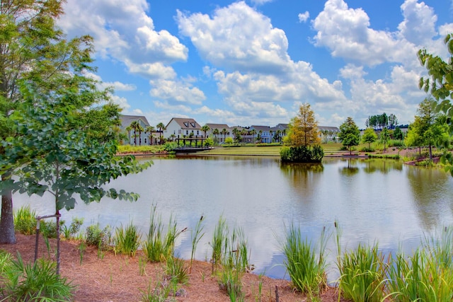 water view with a residential view