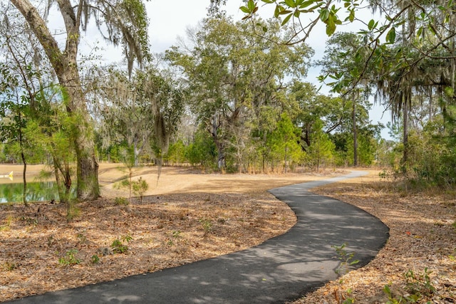 view of home's community