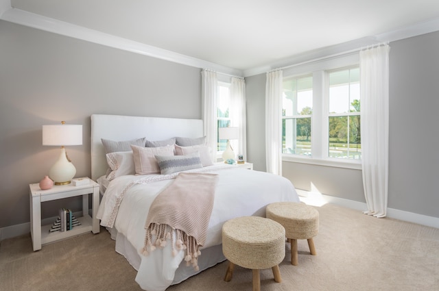 798 Clay Field Trl, Summerville, SC 29485 - bedroom featuring crown molding, carpet, and baseboards