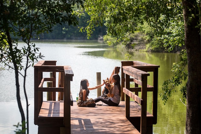 798 Clay Field Trl, Summerville, SC 29485 - dock area with a water view