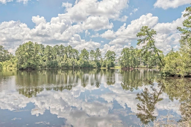 531 Crossland Dr, Moncks Corner, SC 29461 - water view