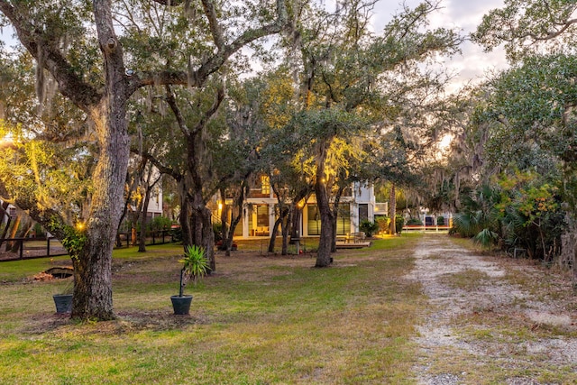 view of front of house with a front lawn