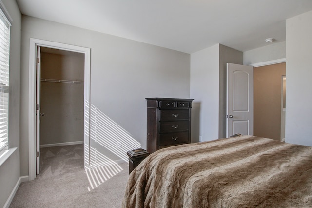 carpeted bedroom featuring a spacious closet and a closet