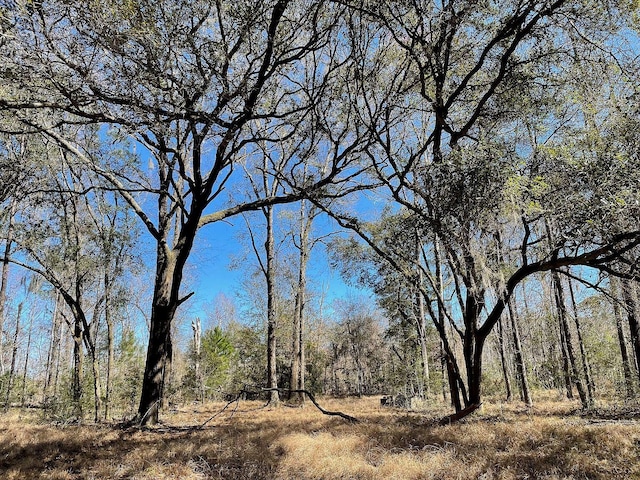 7887 Mary Seabrook Rd, Edisto Island SC, 29438 land for sale